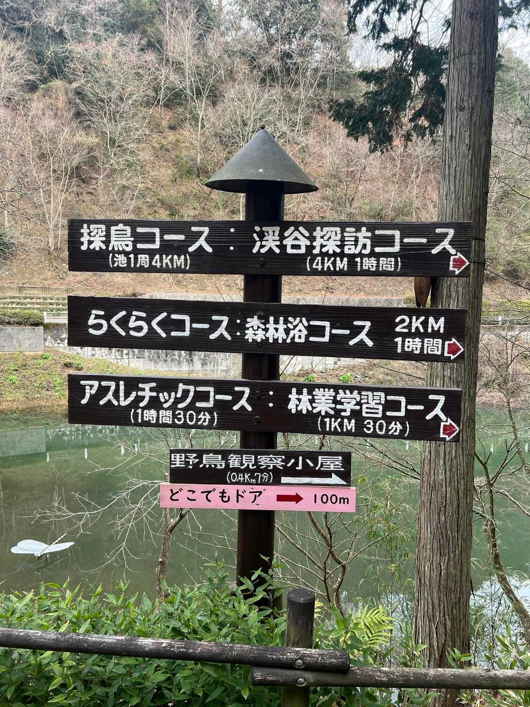 谷上山登り口-歯朶谷山-谷上山登山口-谷上山 周回コースの写真