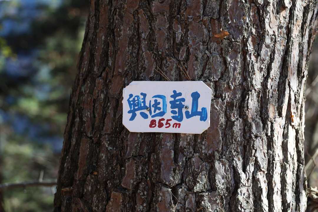 前回来た時にはきづかなかったけれど、ここにもあった。