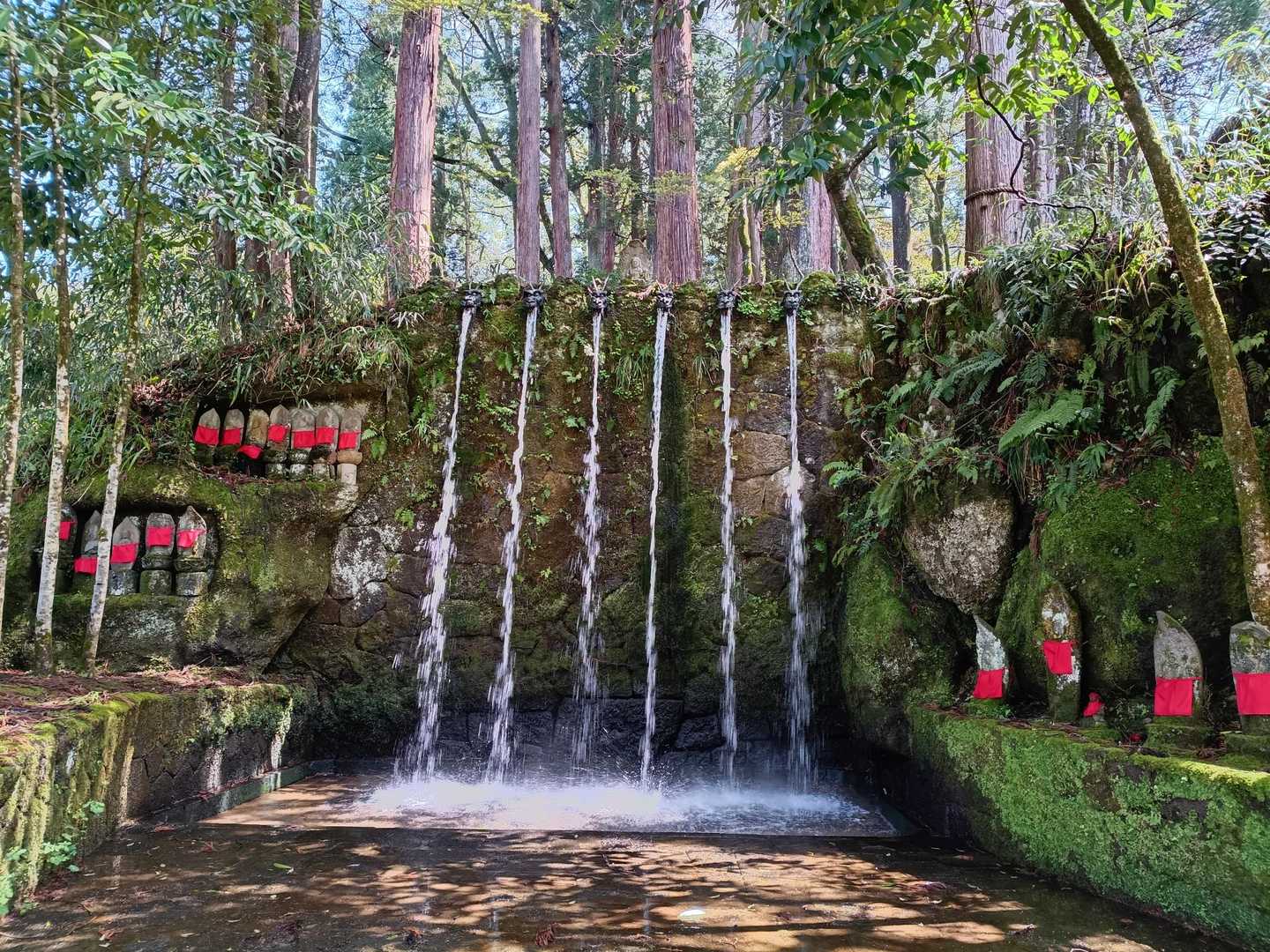 城ヶ平山大岩側登山口-城ヶ平山-城ヶ平山登山口-おおかみこ 周回コースの写真