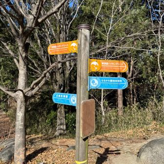 神津嶽に向かいます