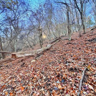 見つかりました！よく見るとテープの目印あり