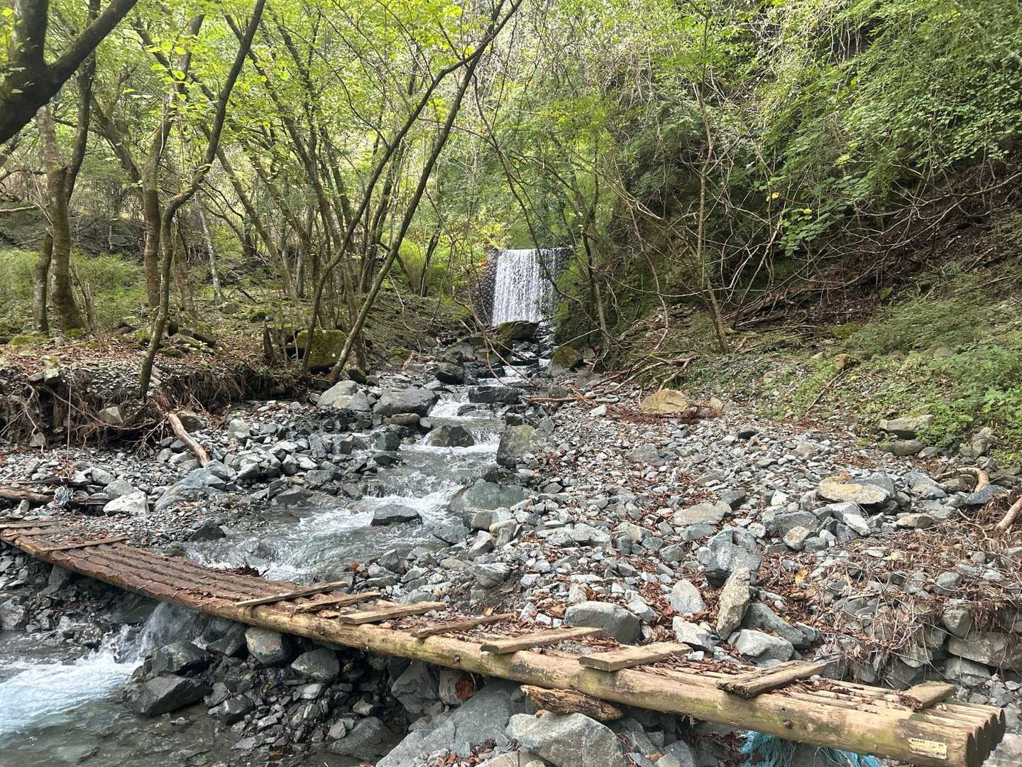 大倉バス停-後沢乗越-鍋割山-小丸 往復コースの写真