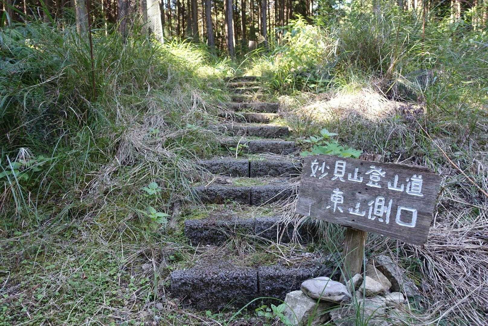東山側の登山口に下山。
ここから林道45分😭