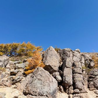 前白根山を下りてきた
