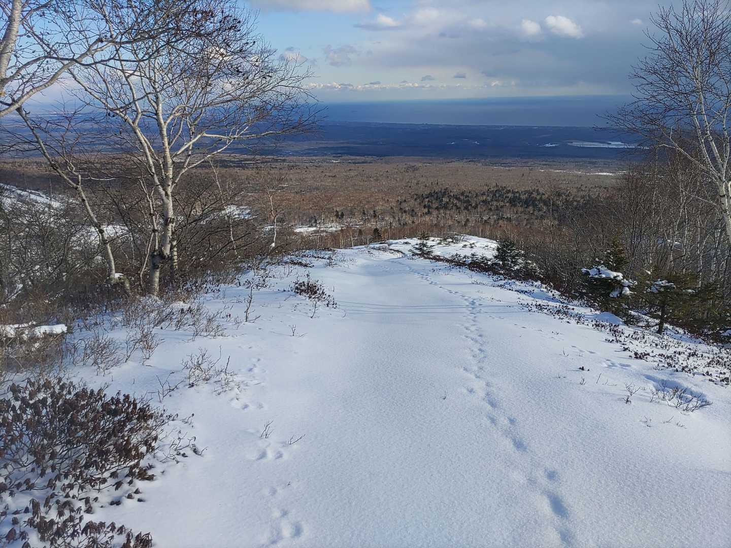 こっちはやや樹林あったり吹き溜まるらしく、