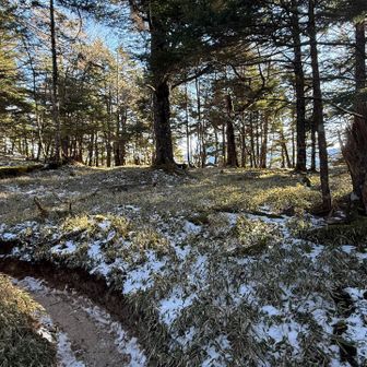 鹿ポイント。帰りもいなかった…🦌