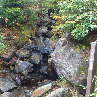 大凹の水場