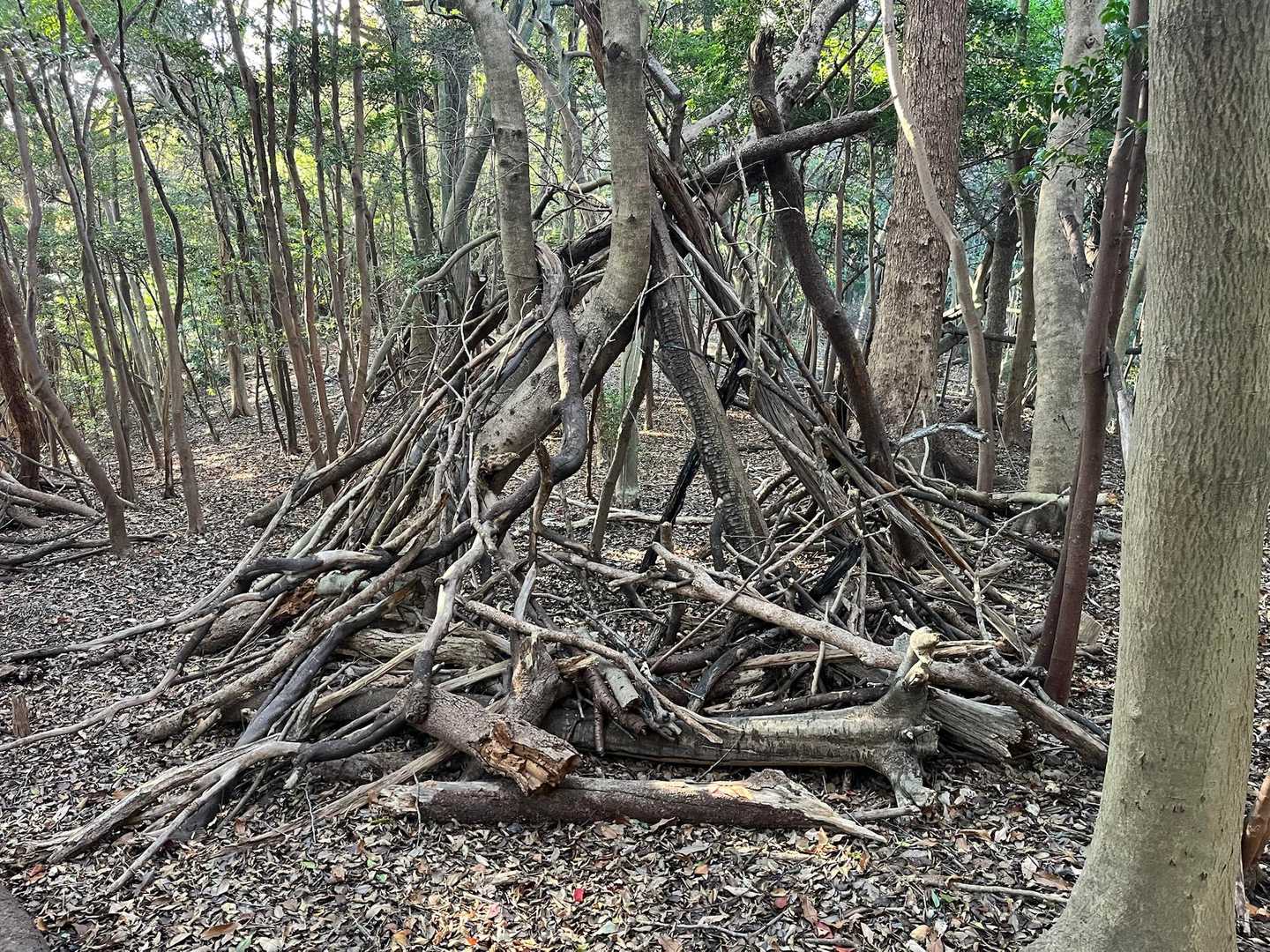 🤔なんだろか❓