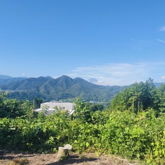 ちょこっと富士山🗻