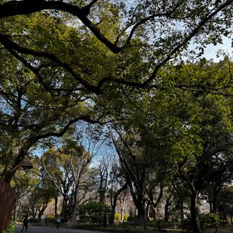 気持ちのよい朝