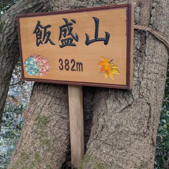 紫陽花&もみじのおしゃれ看板✨