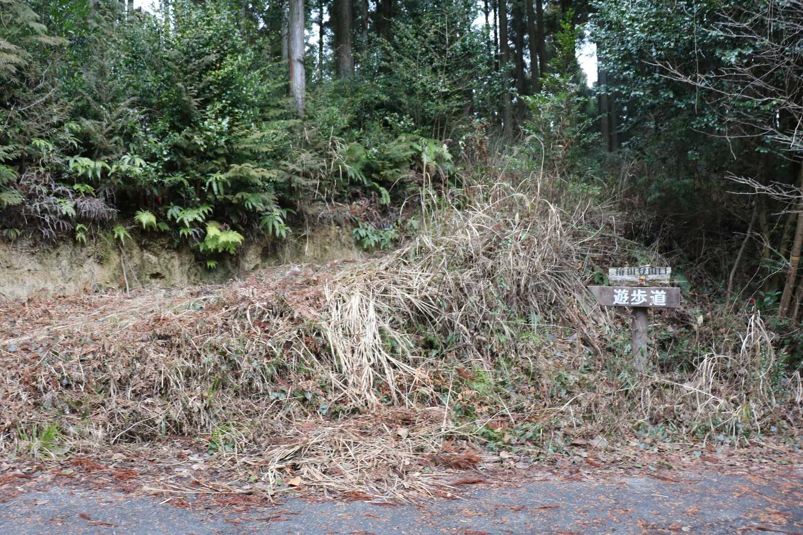 この分岐を見落としていたわけでした。
