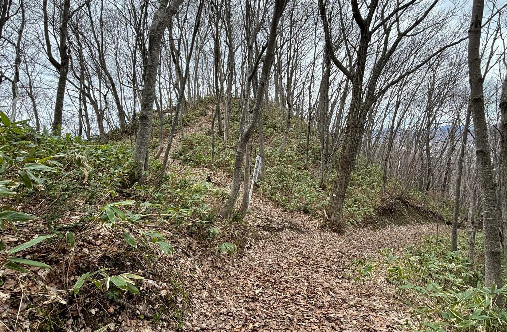左の尾根コースへ