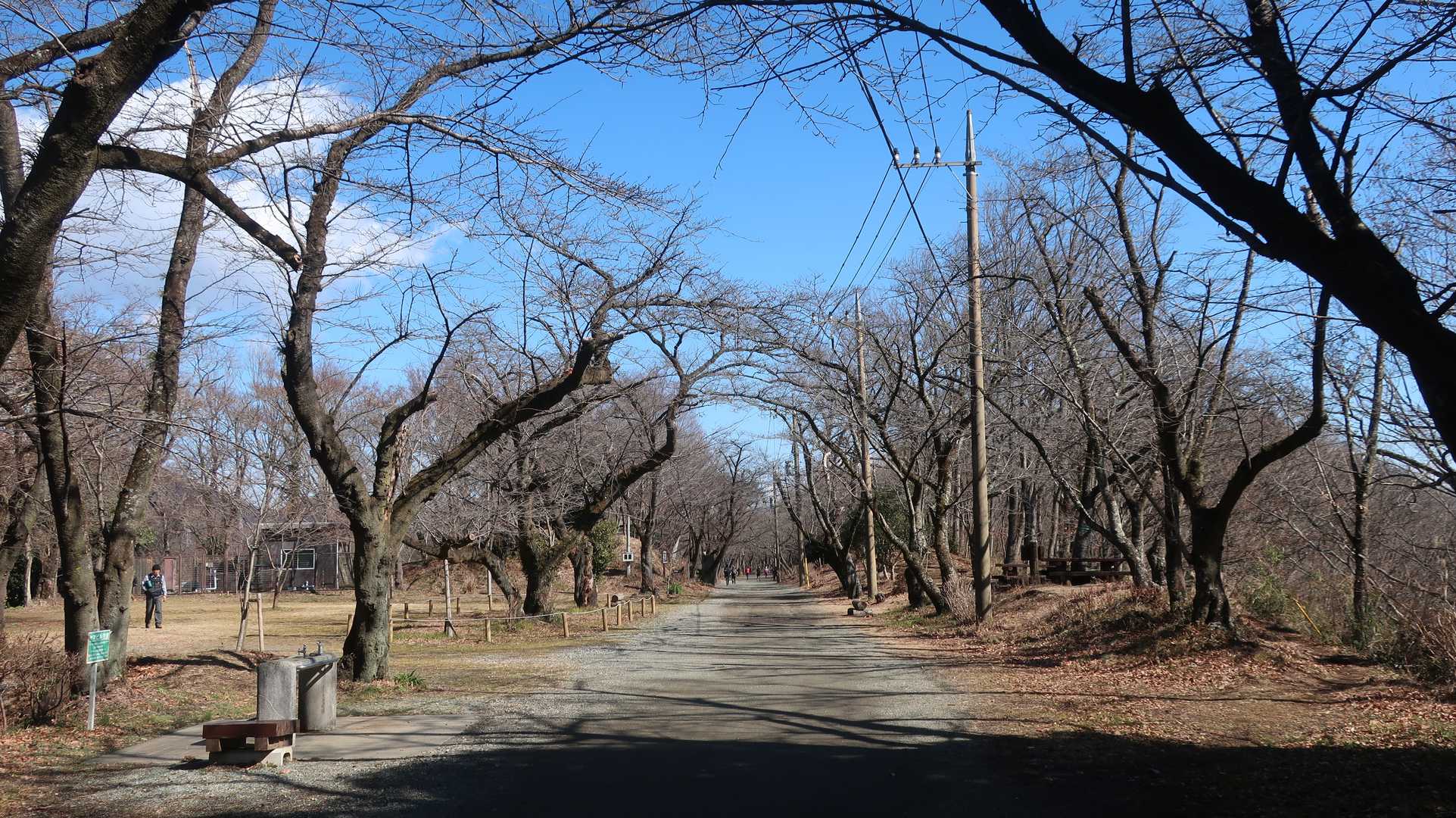 聖峰-高取山-念仏山-善波山-善波峠-弘法山-権現山-秦野 縦走コースの写真