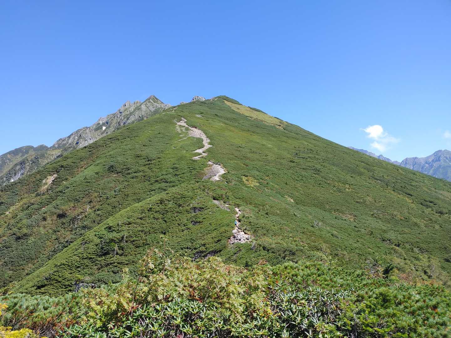 この一本道に見える登山道
実際には結構な登りなんです。写真で見るより実際の方が傾斜があるように見えます・・・。
でも雲がわく前に登りたい！