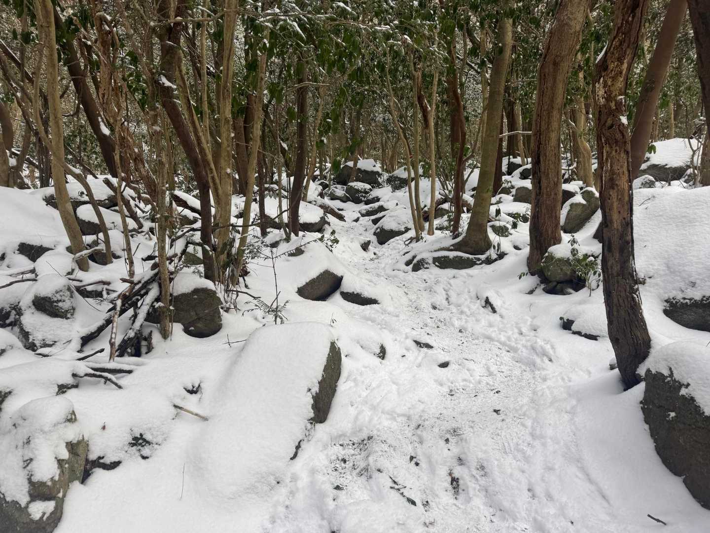 河原谷コース-河原谷の大つらら 往復コースの写真