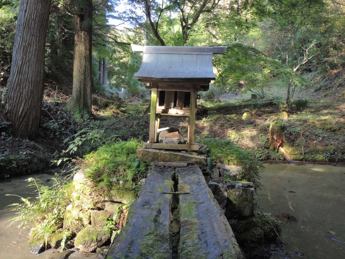 素朴な水神宮様に手を合わせて🙏🙏