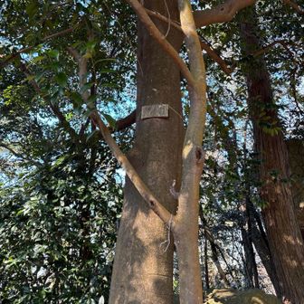 プレートもあったよ