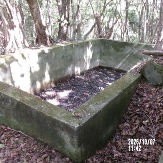 コンクリートの廃墟跡②