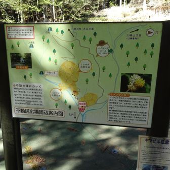 不動尻広場。
ここでスニーカーから登山靴に履き替え。
ヒルを怖れてゲートルを靴の中に入れ込んで防備するという悪あがきも。

その結果靴の中の異物感で大山山頂まで苦しむことになると。