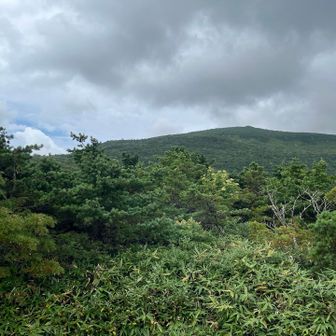 安達太良山山頂ですね