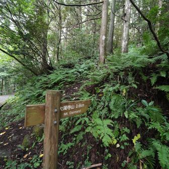 山頂まで６００ｍの距離で標高１６０ｍを登る
