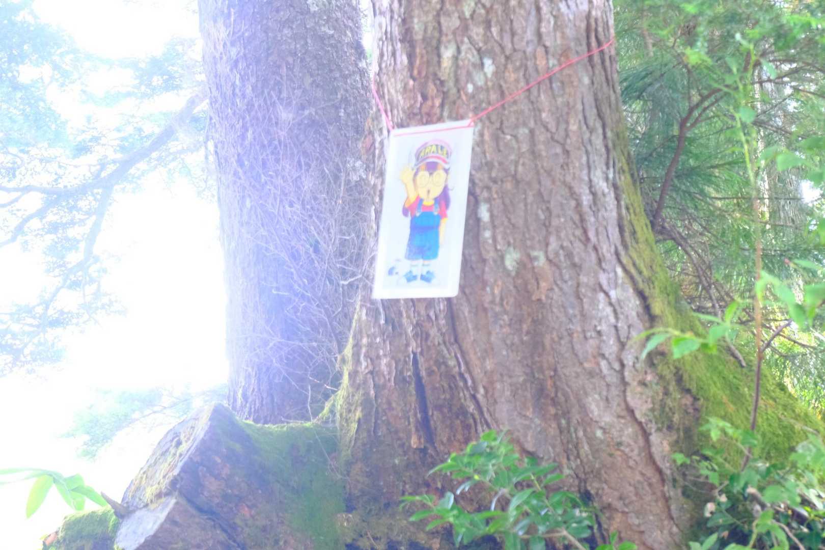 あ！うわさのアラレちゃん
わたしの小学生の時にスタイルが似てます😏