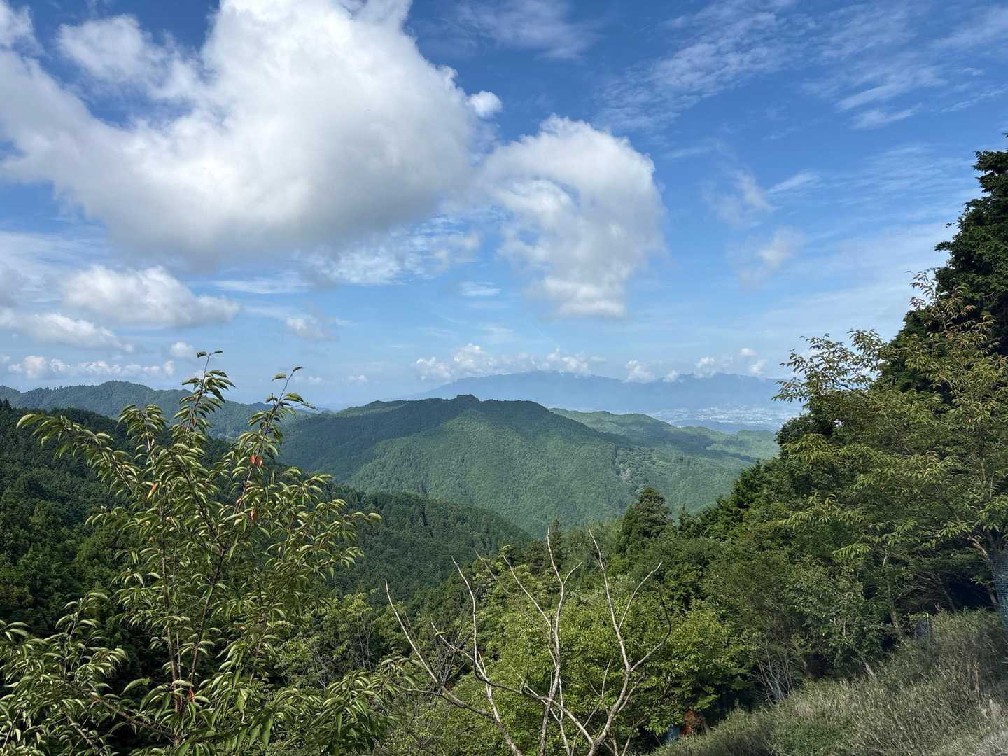 経ヶ塚山 往復コースの写真