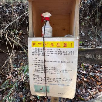 出ないスプレー
残念