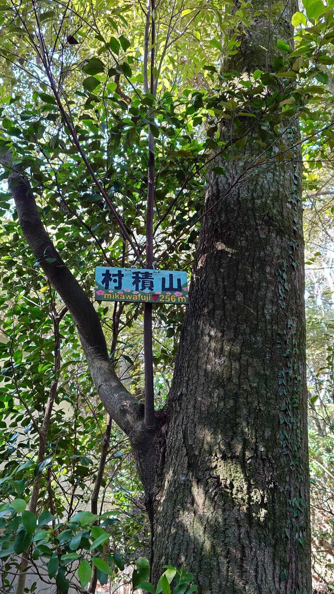 山頂