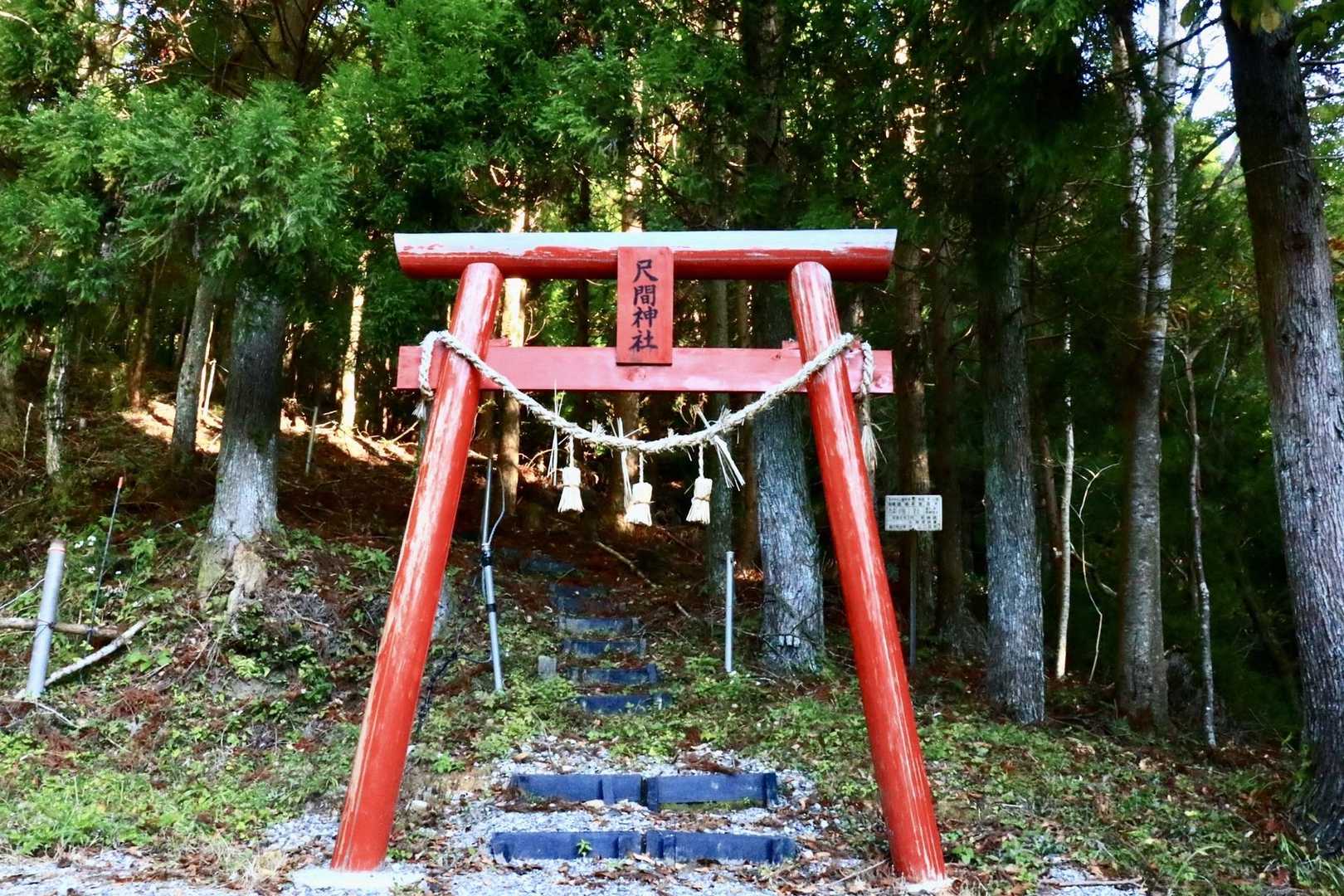 …それじゃ、スタート時に間違えたココを登ってみますか！
