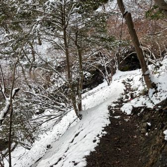 ここも、雪の上をサクサク歩いてきたんだけど、雪ない💦数時間でこうも違うのか🫢