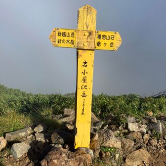 今日は針ノ木小屋迄4つのピークを越えて行きます
