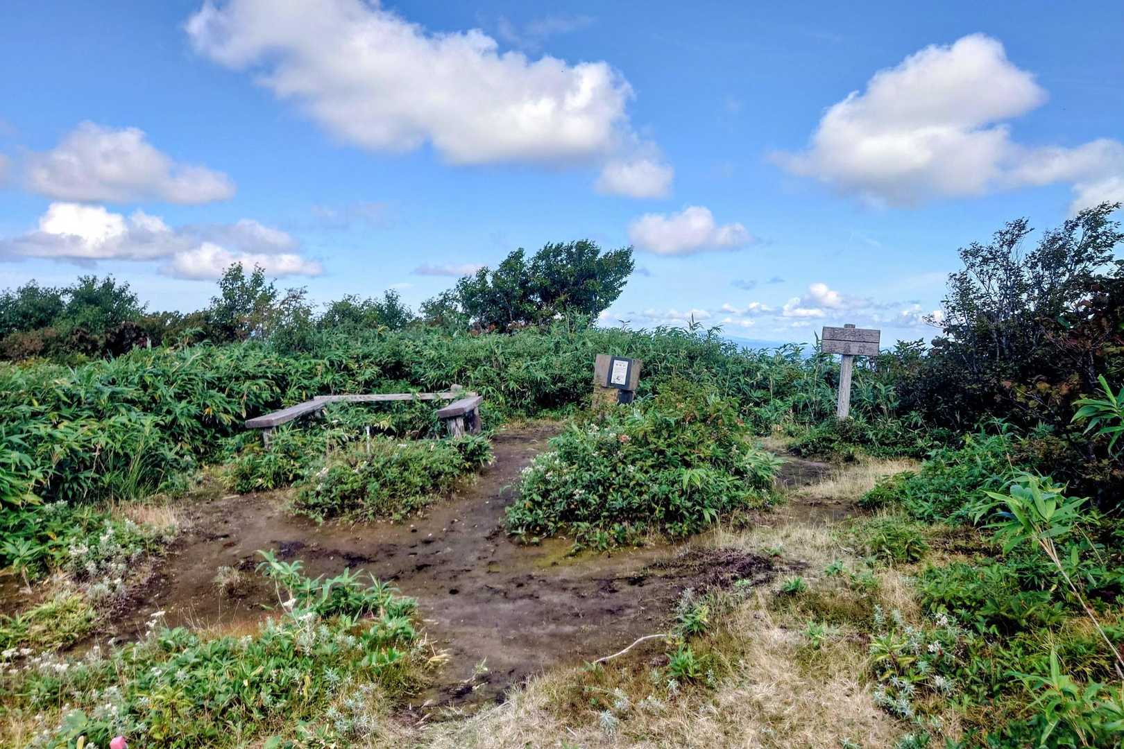 山頂はこんな感じで割と広めで
木製のベンチあり👍️
ここで休憩が取れる☺️