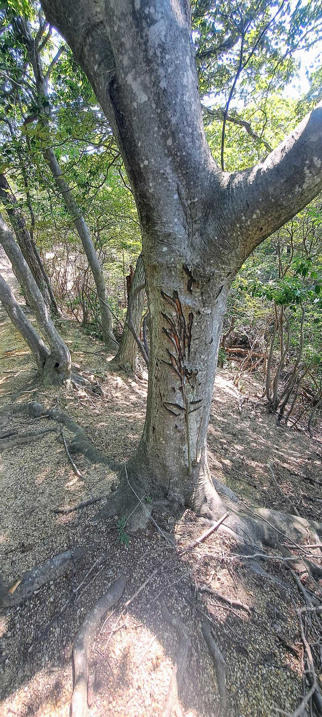 アート作品『稲穂』🫎