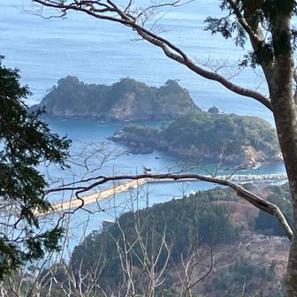 木々の間から海🌊が見えます。🩵
風が強いので戻ります。
