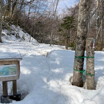 残雪期の風不死岳。楽しいスノーハイキングでした。