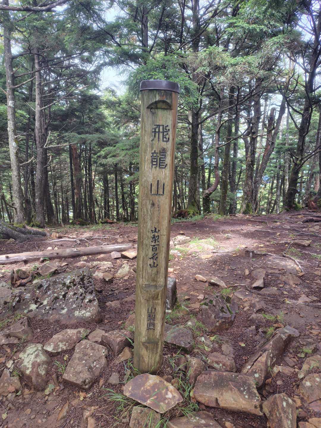 分岐からすぐかと思いきや結構歩きました😅