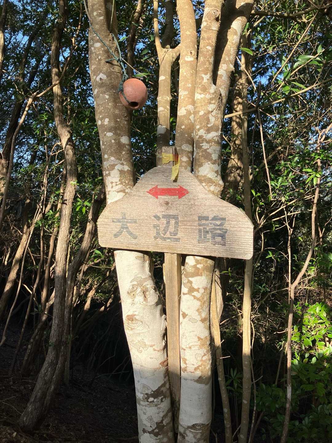 熊野古道です