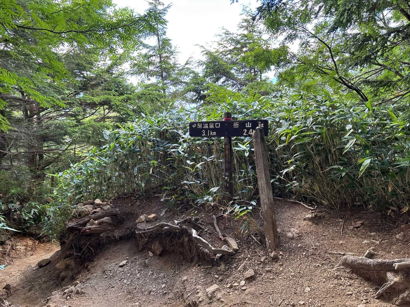 最後のベンチ、富士見ベンチ。結構きつい登りです。