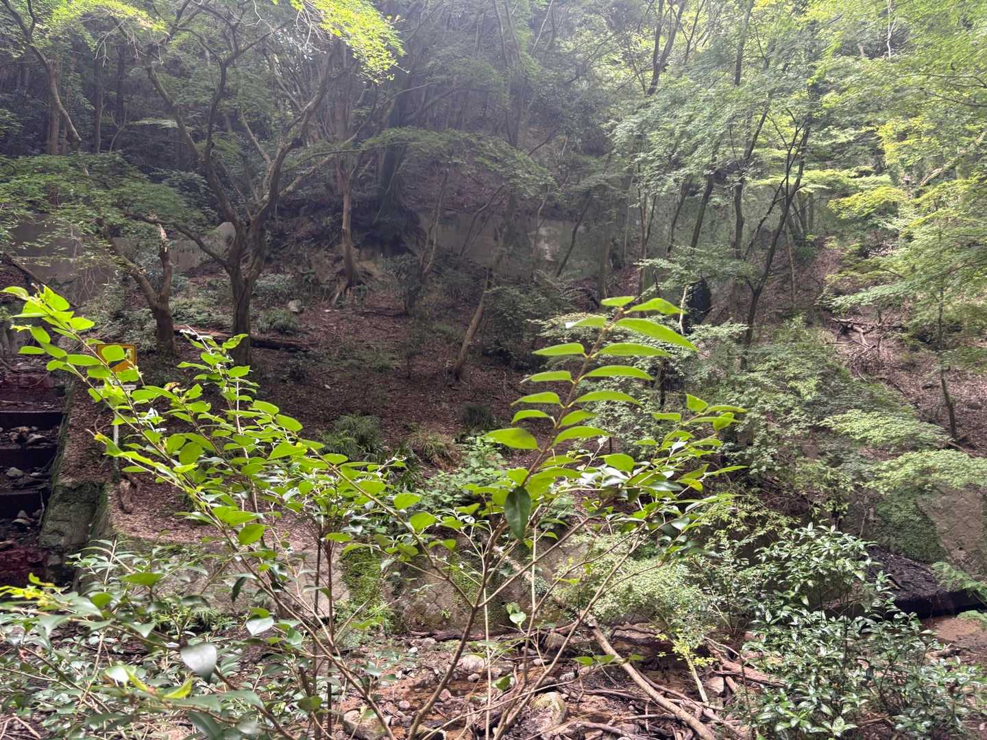 沢が合流しているここもポイント場所