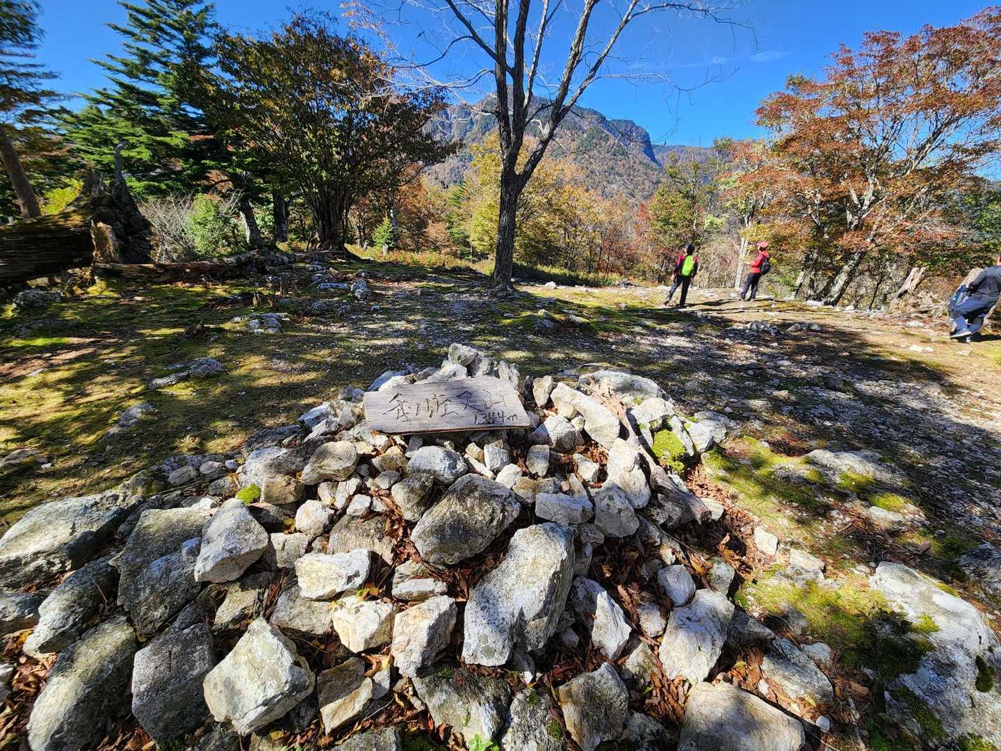 和佐又山 周回コースの写真