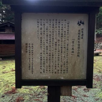 ここめっちゃきれい。