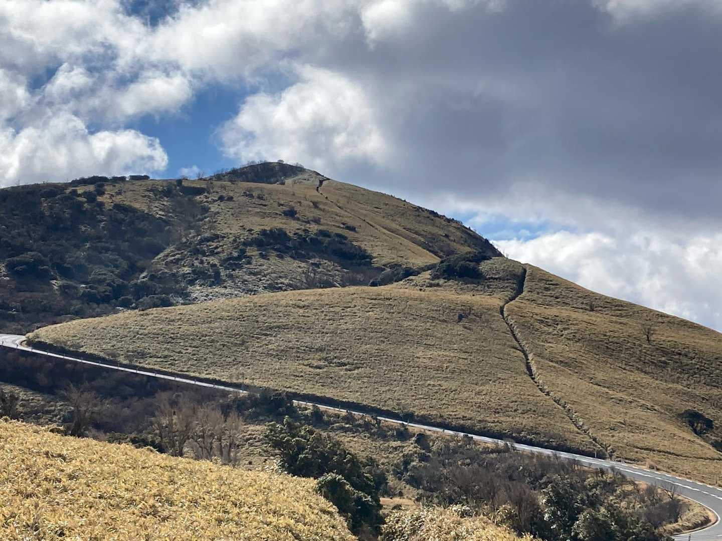 だるま山高原-金冠山-達磨山 往復コースの写真