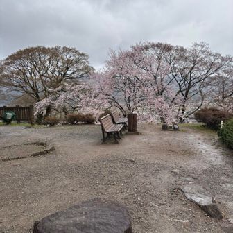 冬、ベンチに座ってコーヒー☕︎飲んだなぁ〜
カップラーメン🍜食べれんかったなぁ〜