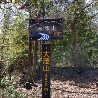 大茂山着
ず〰️っと　オオシゲヤマやと思ってた😅オオモヤマなんや😆