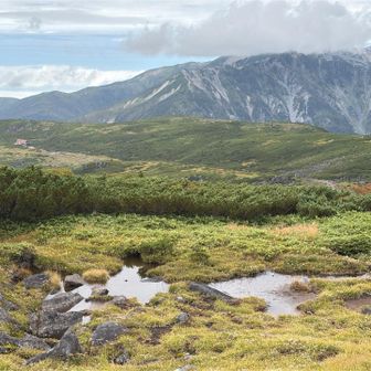 雲ノ平入口から