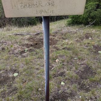 ここまでの登りがキツイ