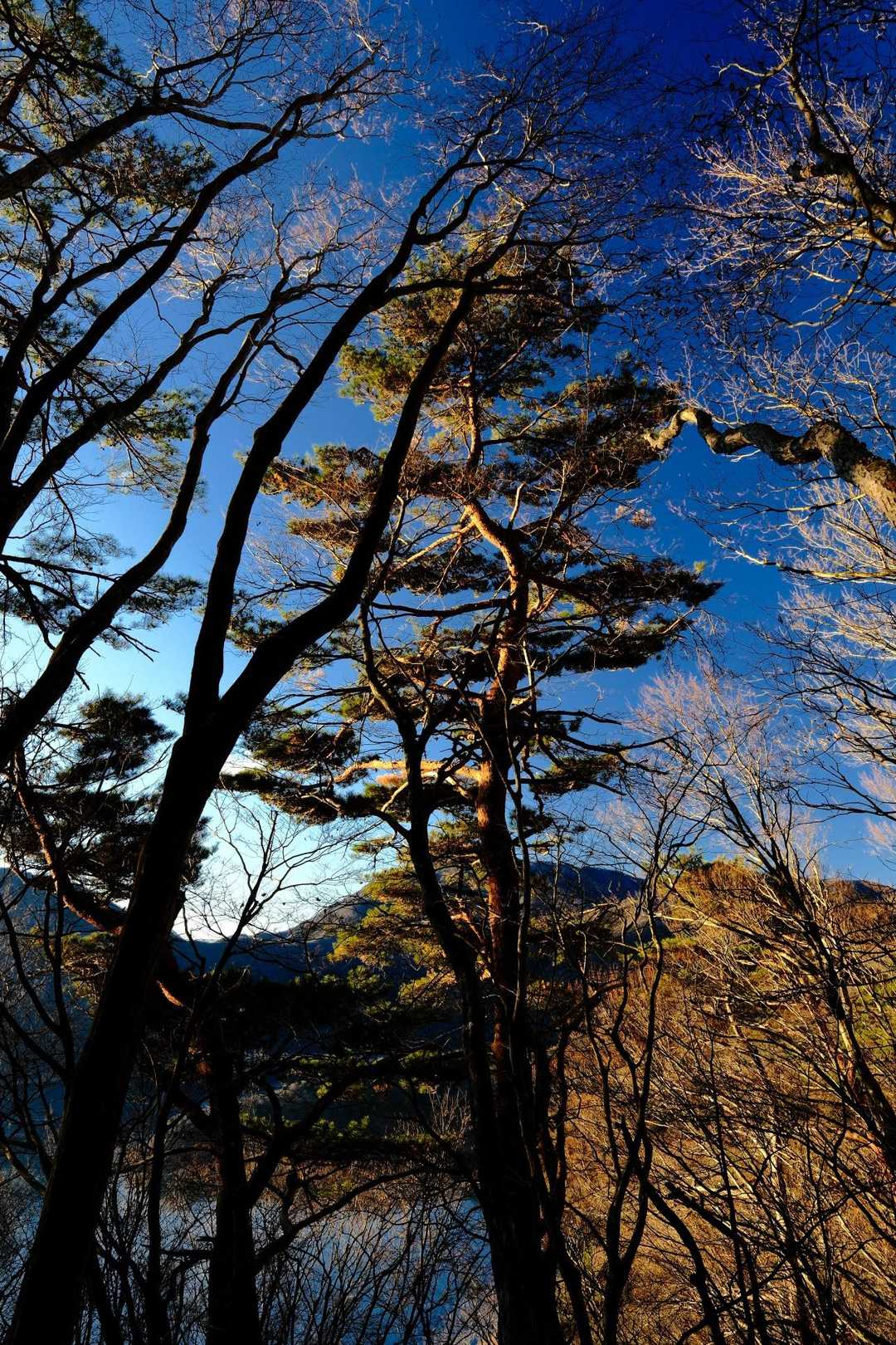 最高のお天気✨