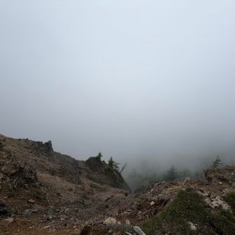 水分入れ替えてる間にガスりました…